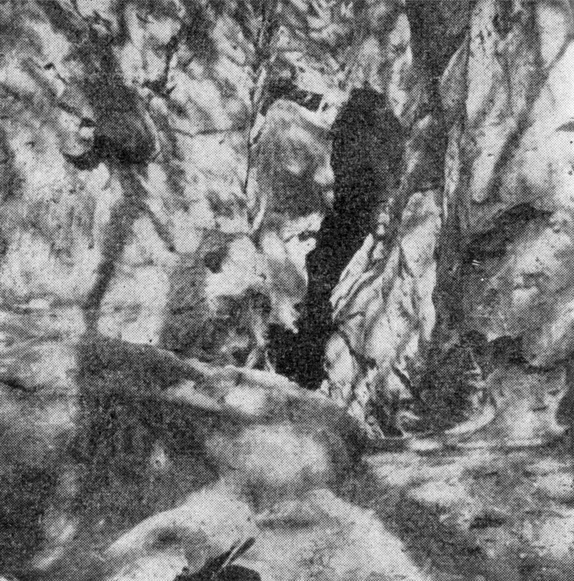 Eingang zur Rothen Steinhöhle bei Eschershausen
